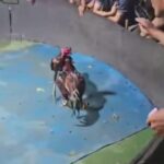 Screenshot_20251009-173239